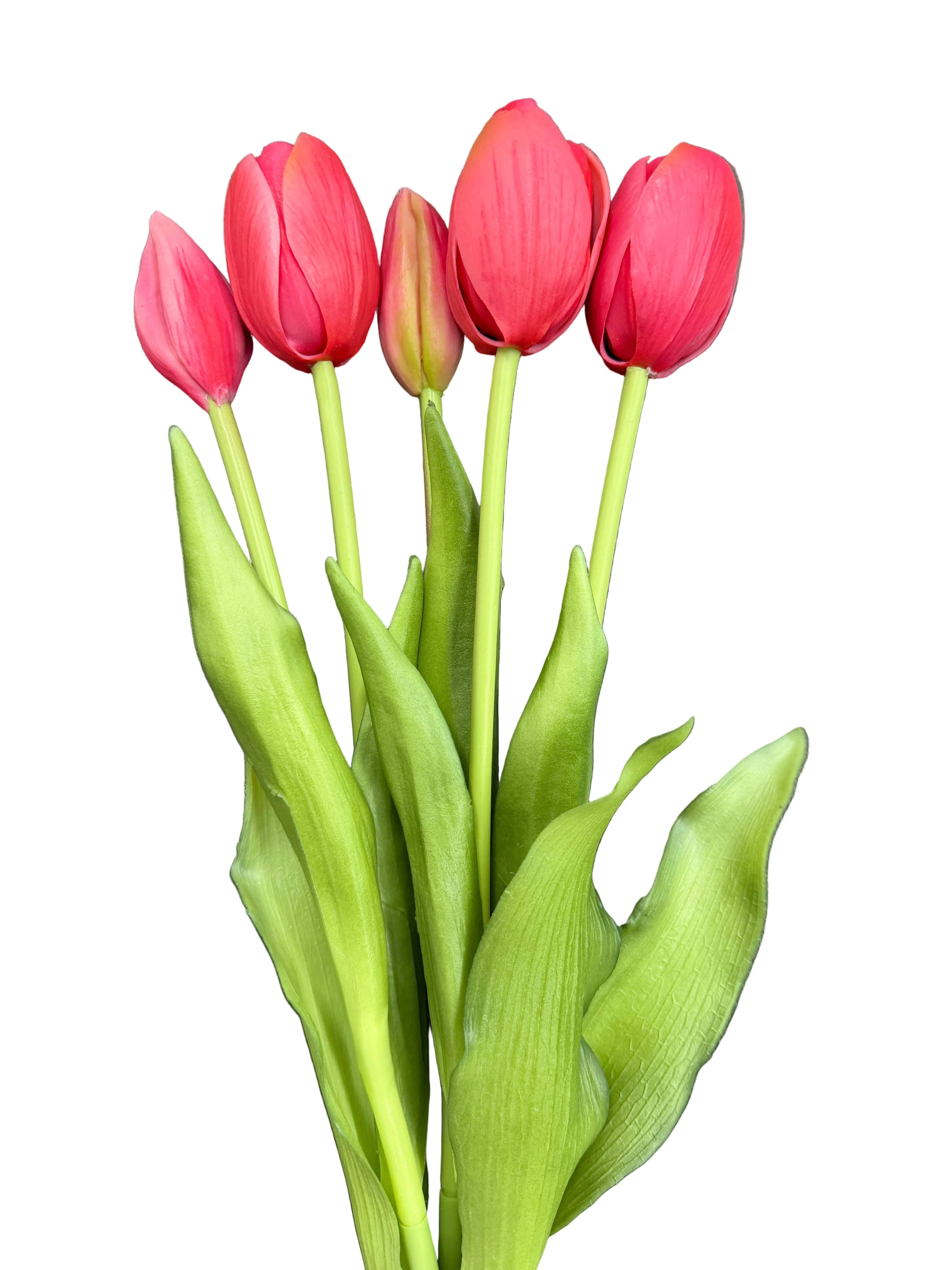 Tulipani fucsia