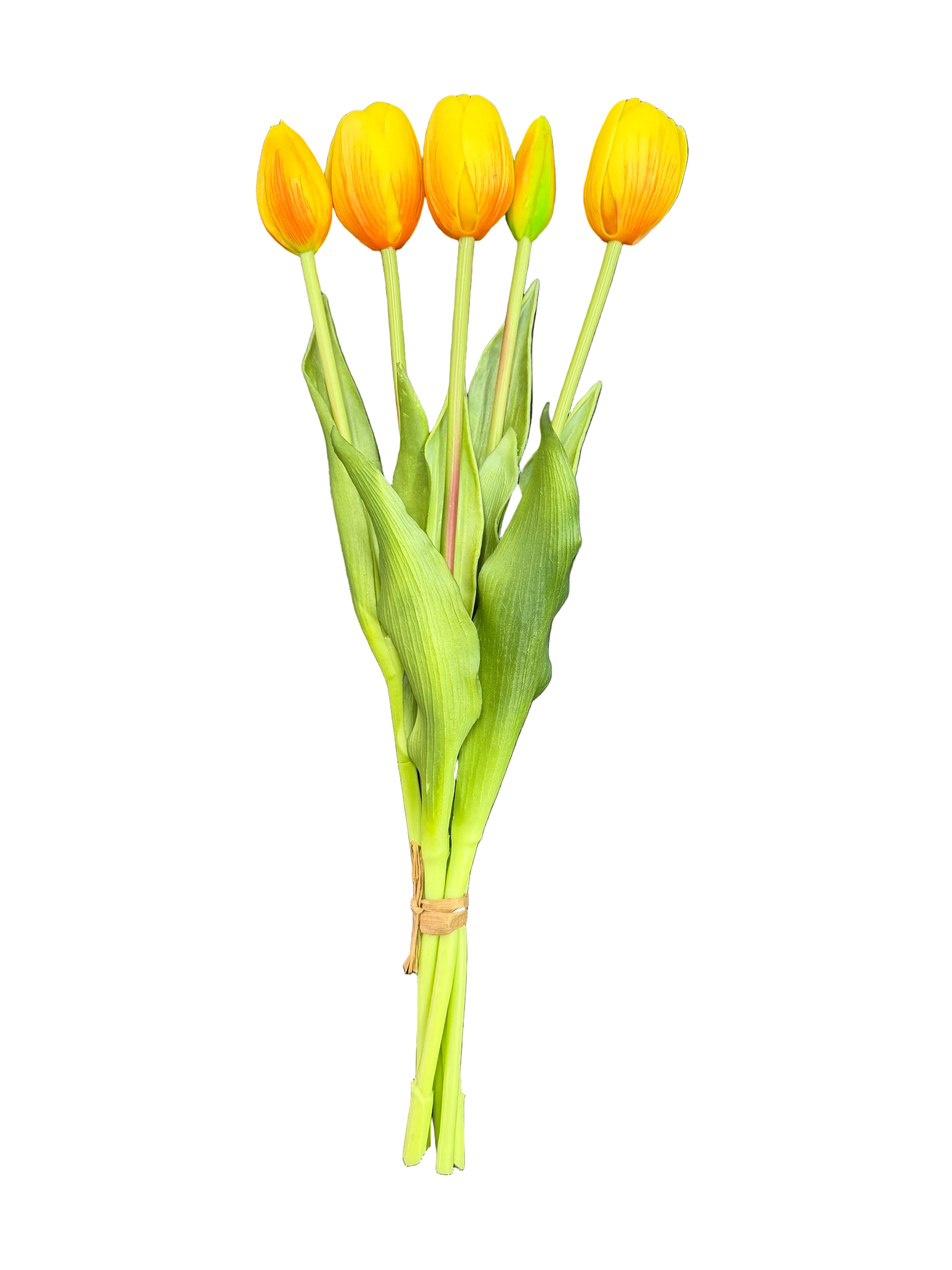 Tulipani gialli