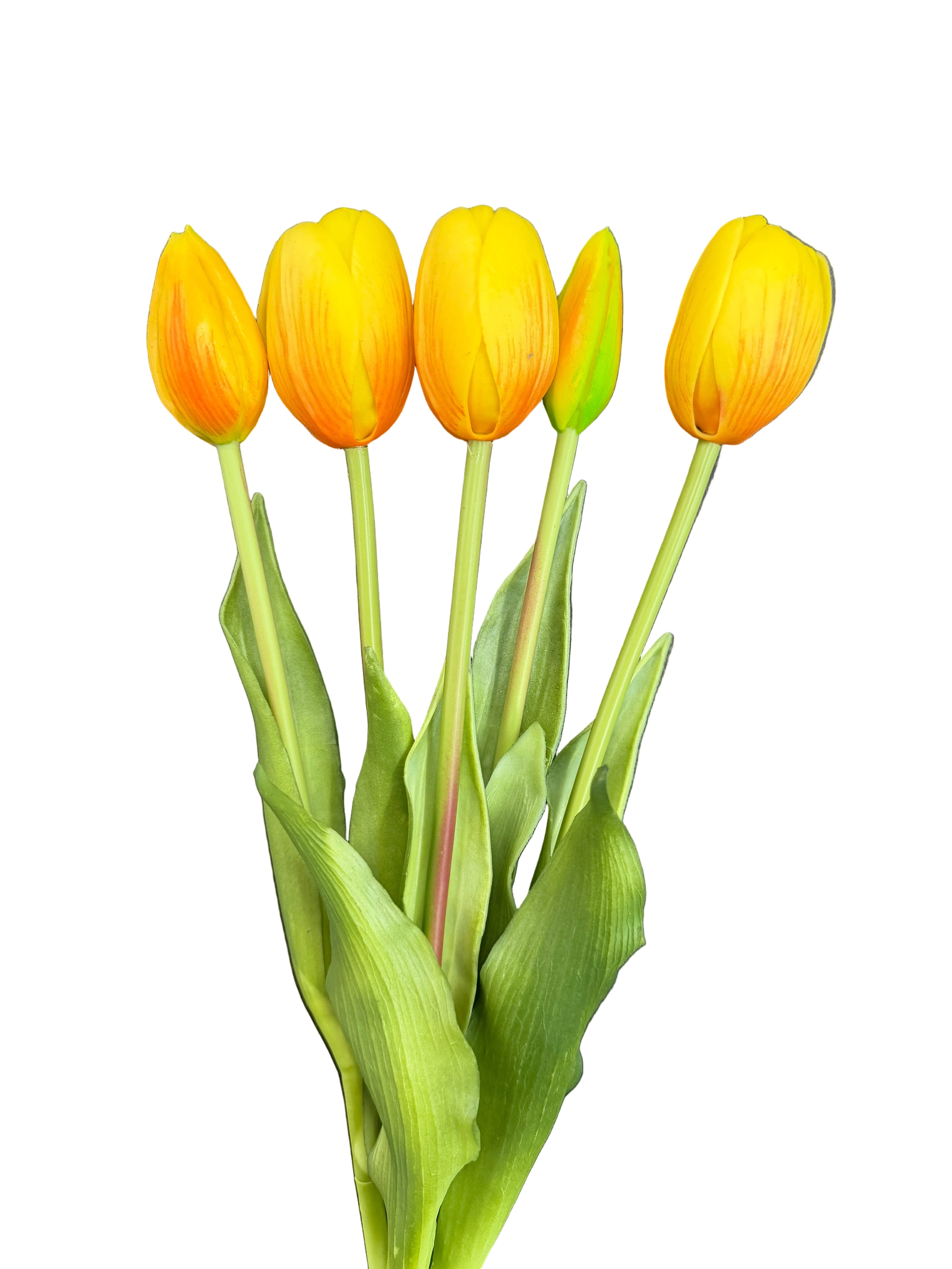 Tulipani gialli