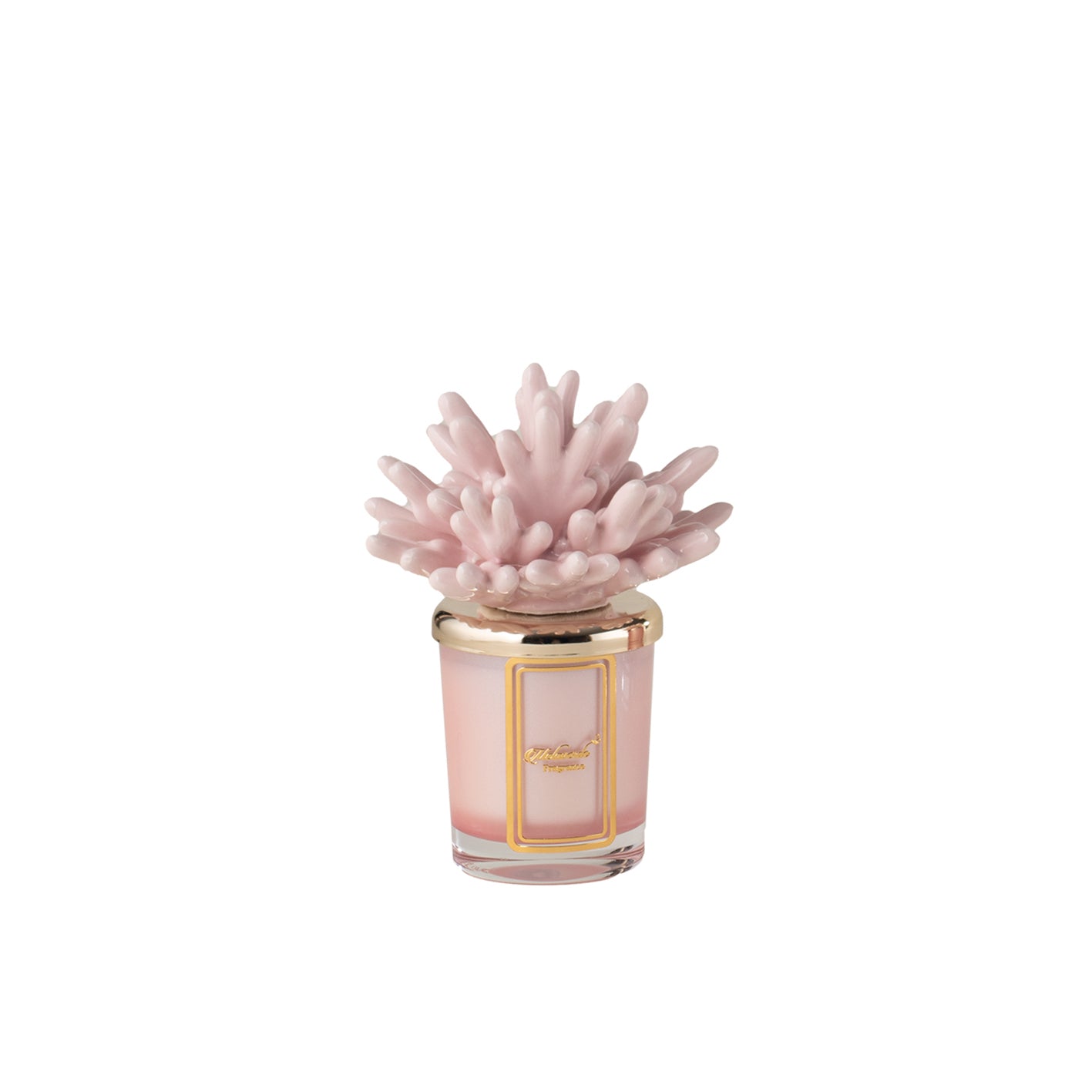 Candela Corallo Cipria