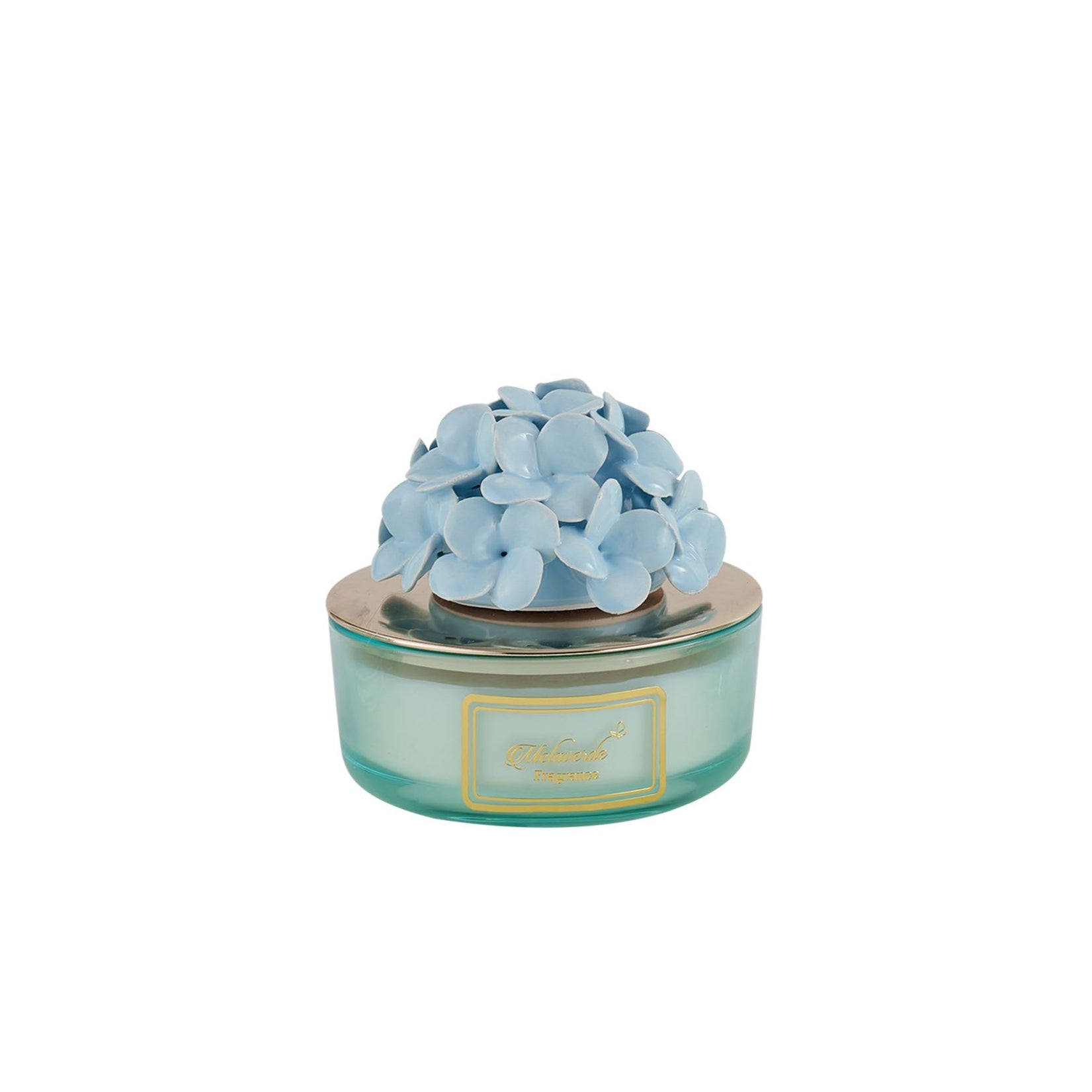 Candela Ortensia Azzurra