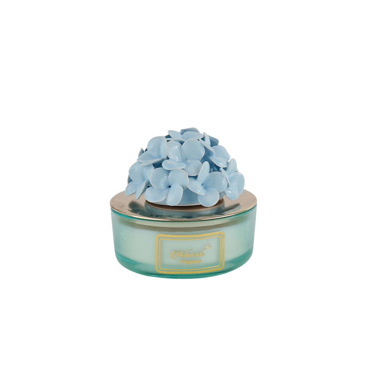 Candela Ortensia Azzurra
