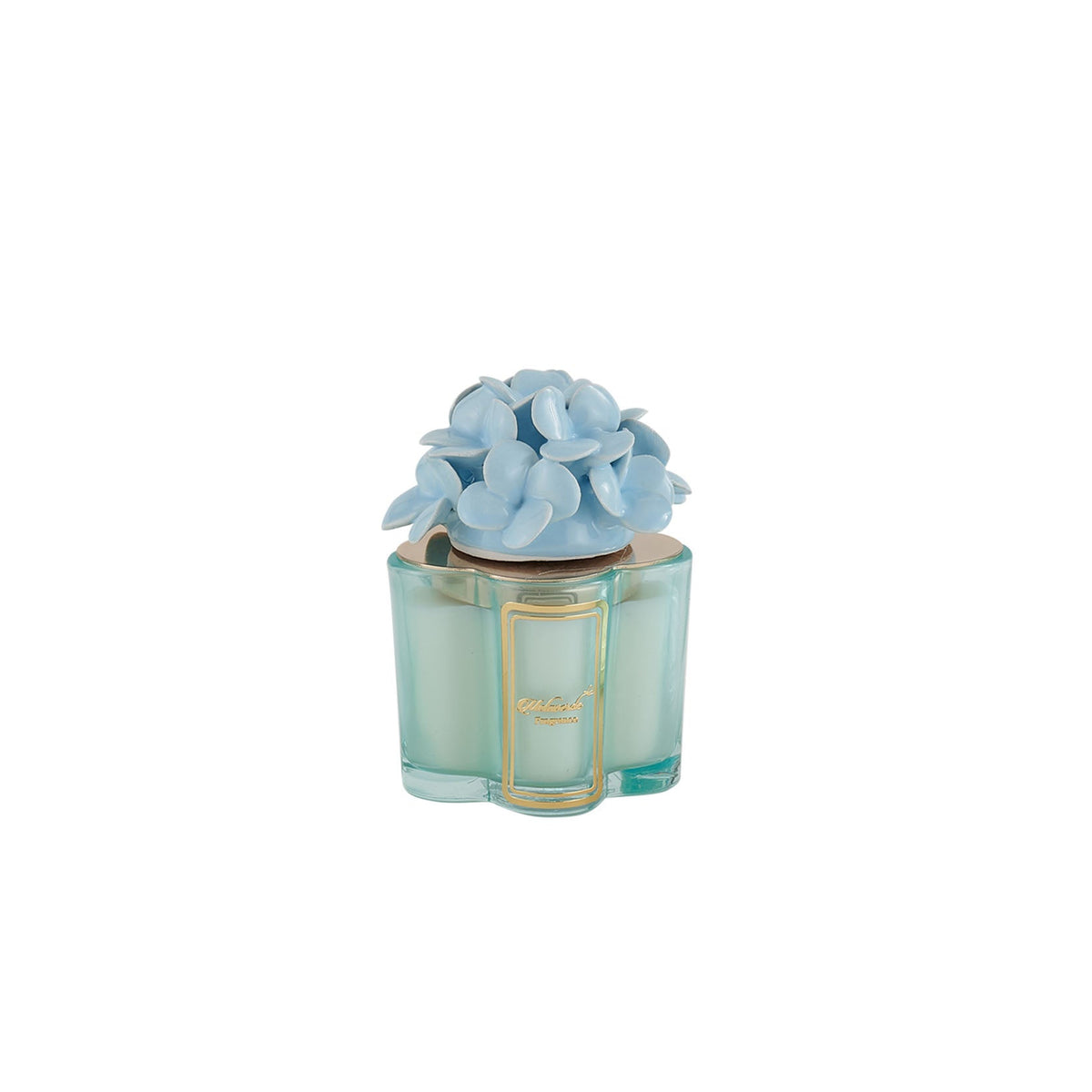 Candela Ortensia Azzurra