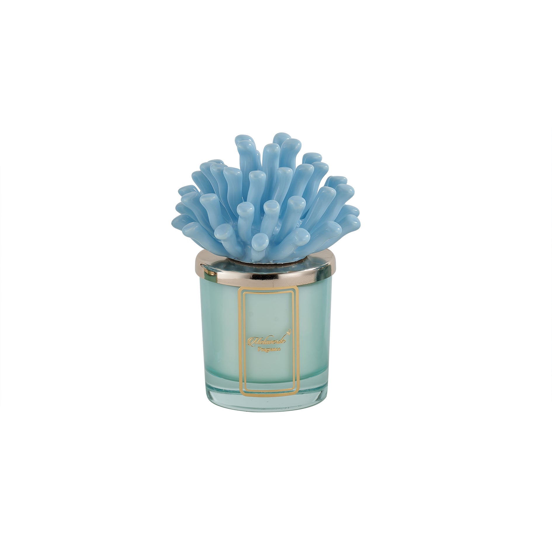 Candela Alga Corallina Azzurra