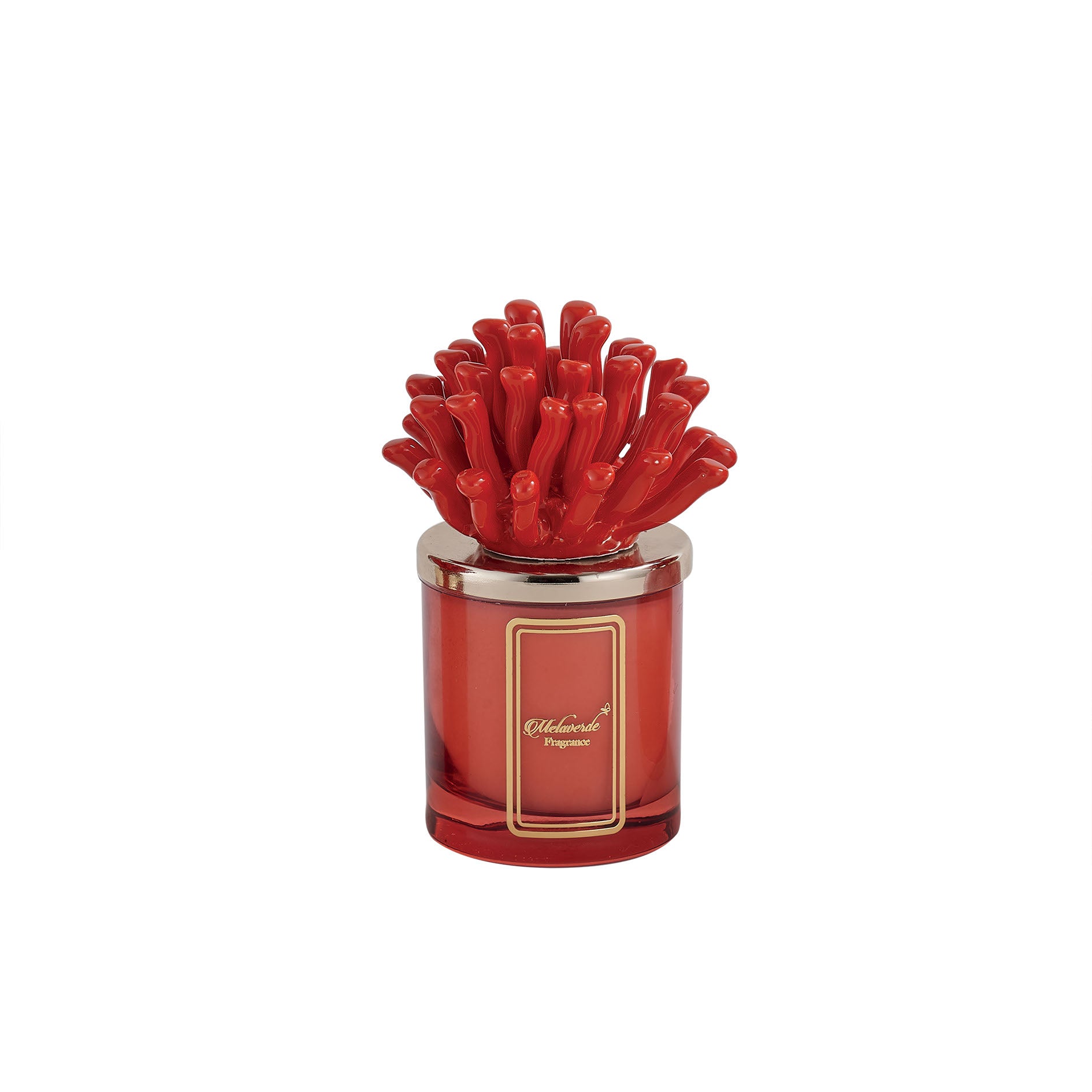 Candela Alga Corallina Rossa