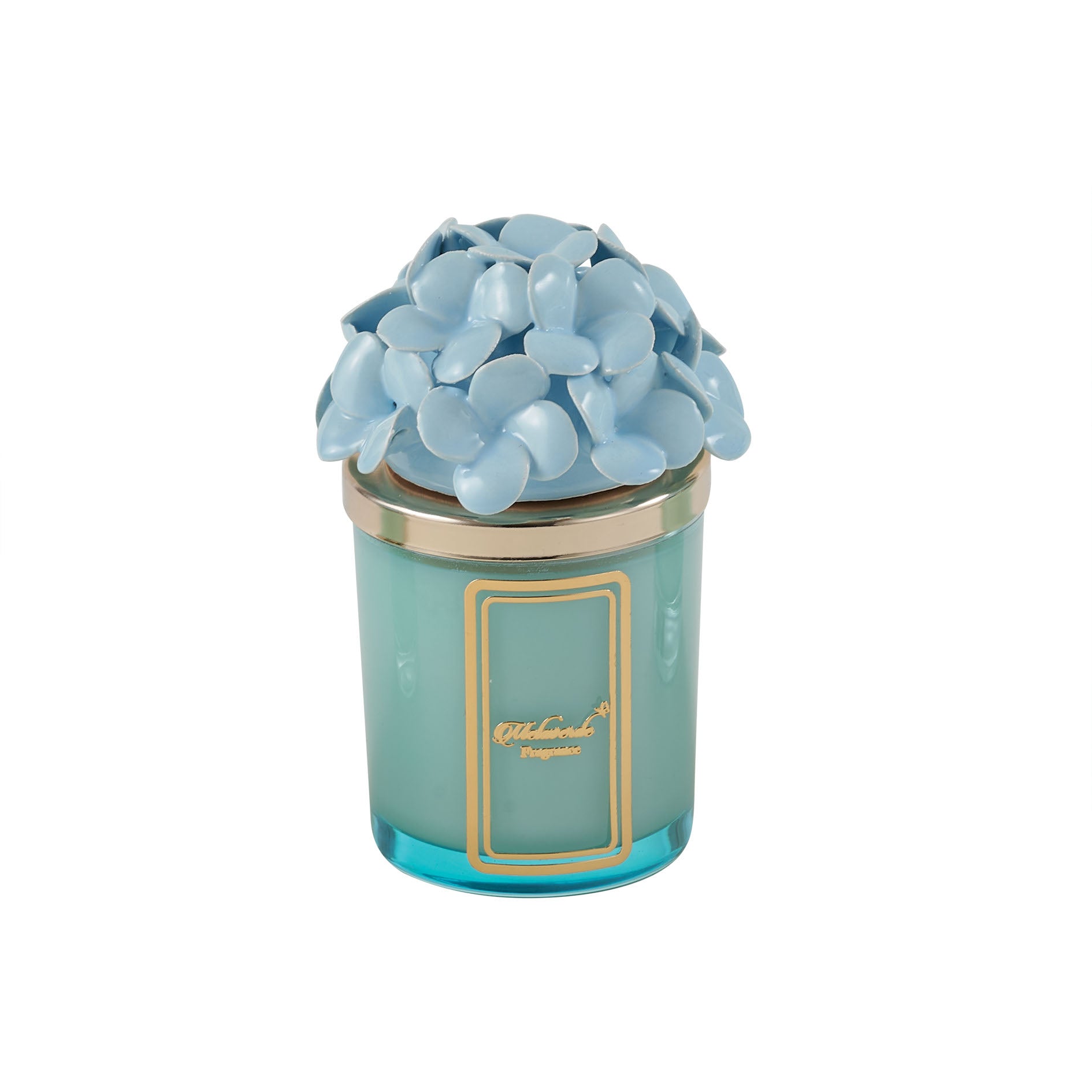 Candela Ortensia Azzurra