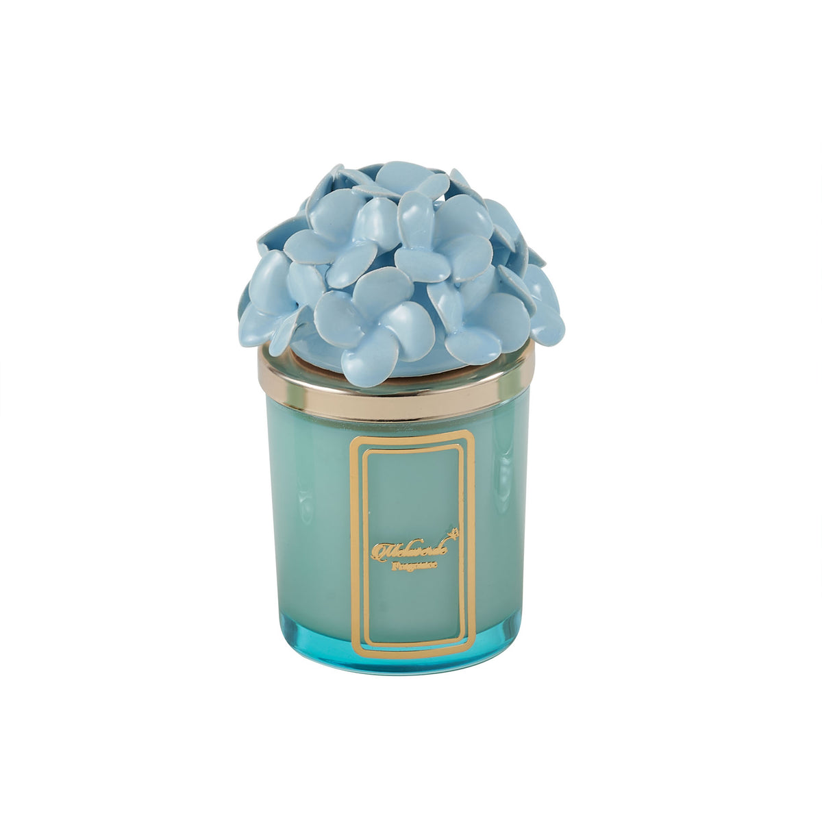 Candela Ortensia Azzurra