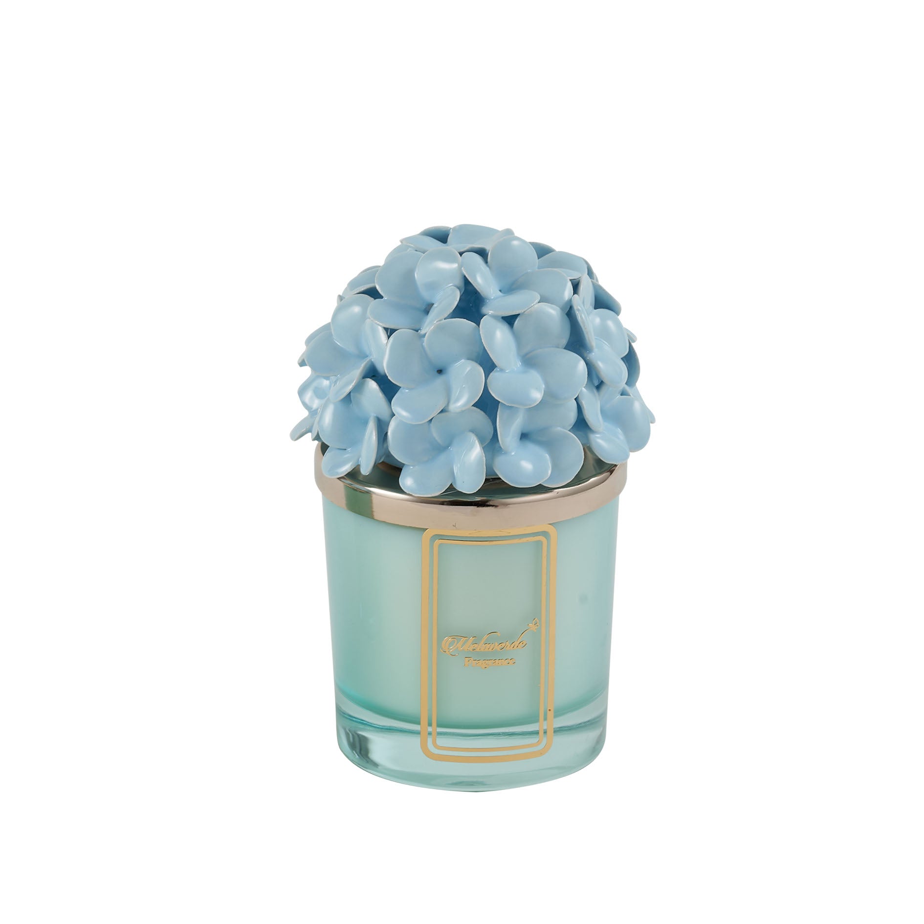 Candela Ortensia Azzurra