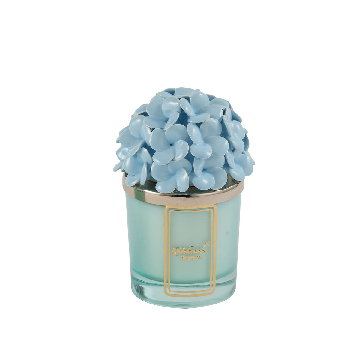 Candela Ortensia Azzurra