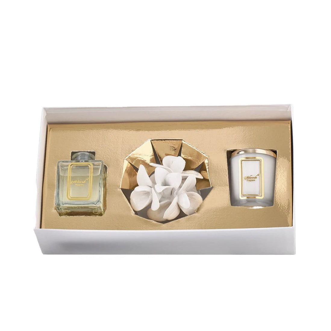 Box Orchidea Bianca