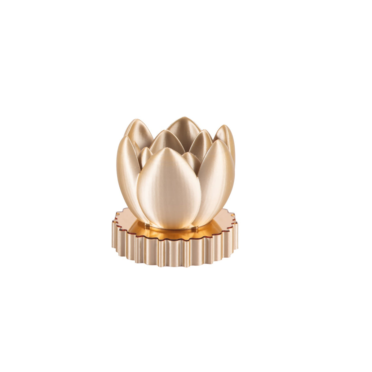 Tulip Led Champagne