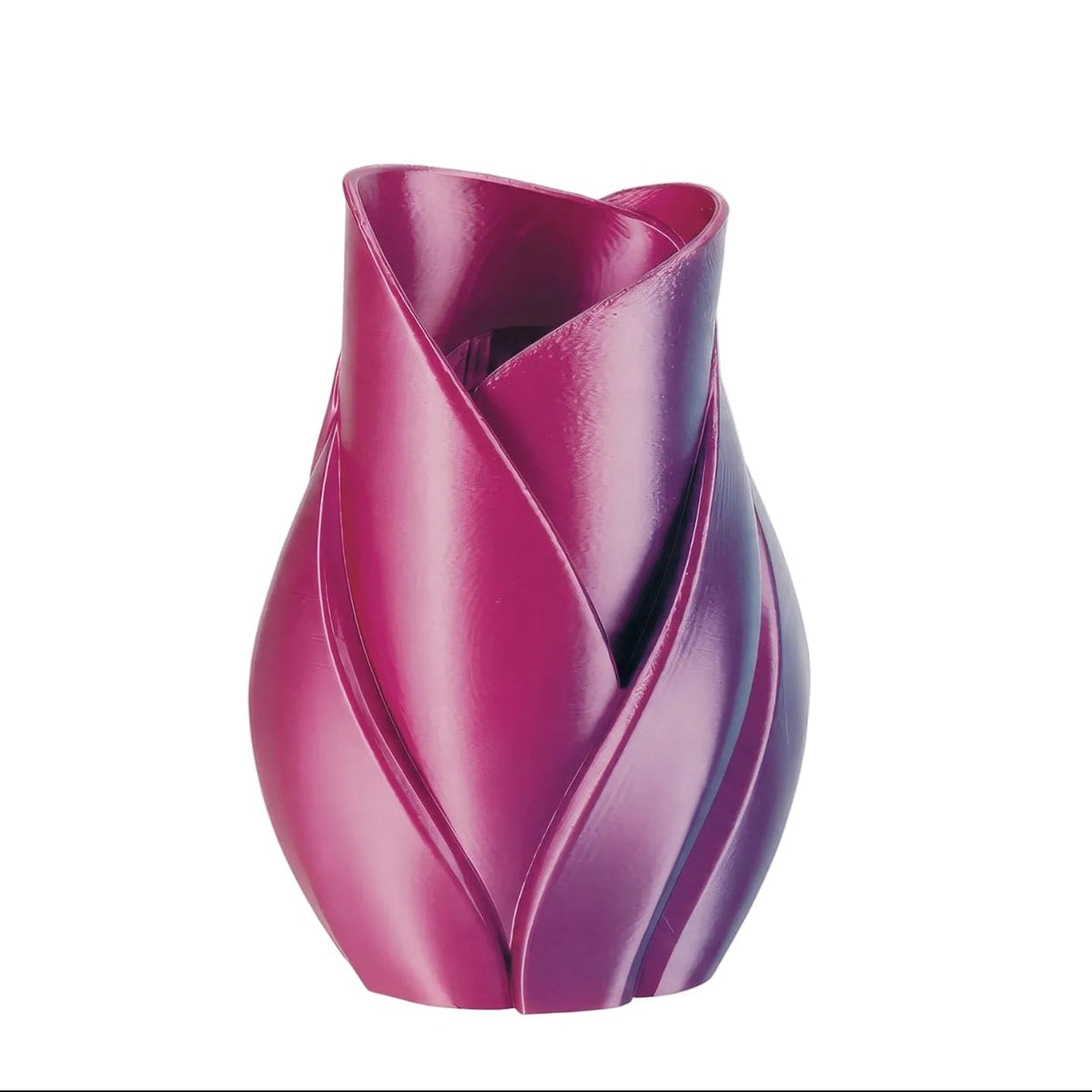 Vaso Tulip Viola Bicolor