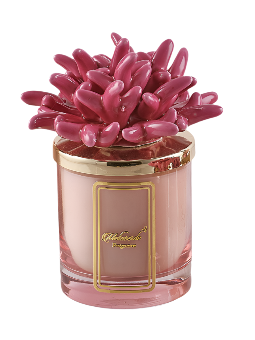 Candela Attinia Fucsia