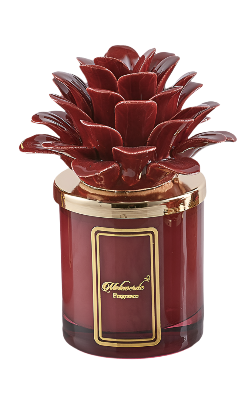 Candela Dalia Bordeaux