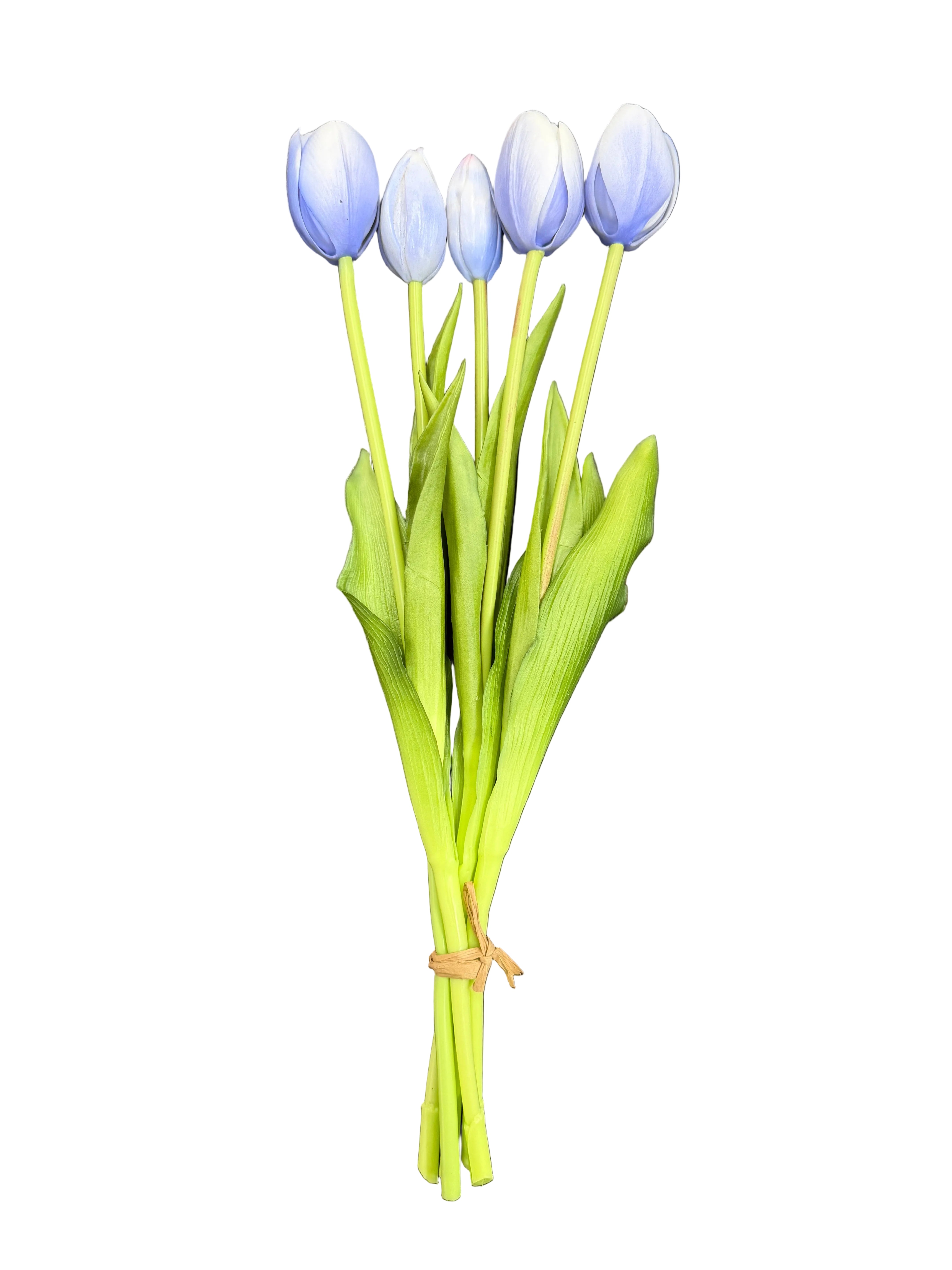 Tulipani carta da zucchero