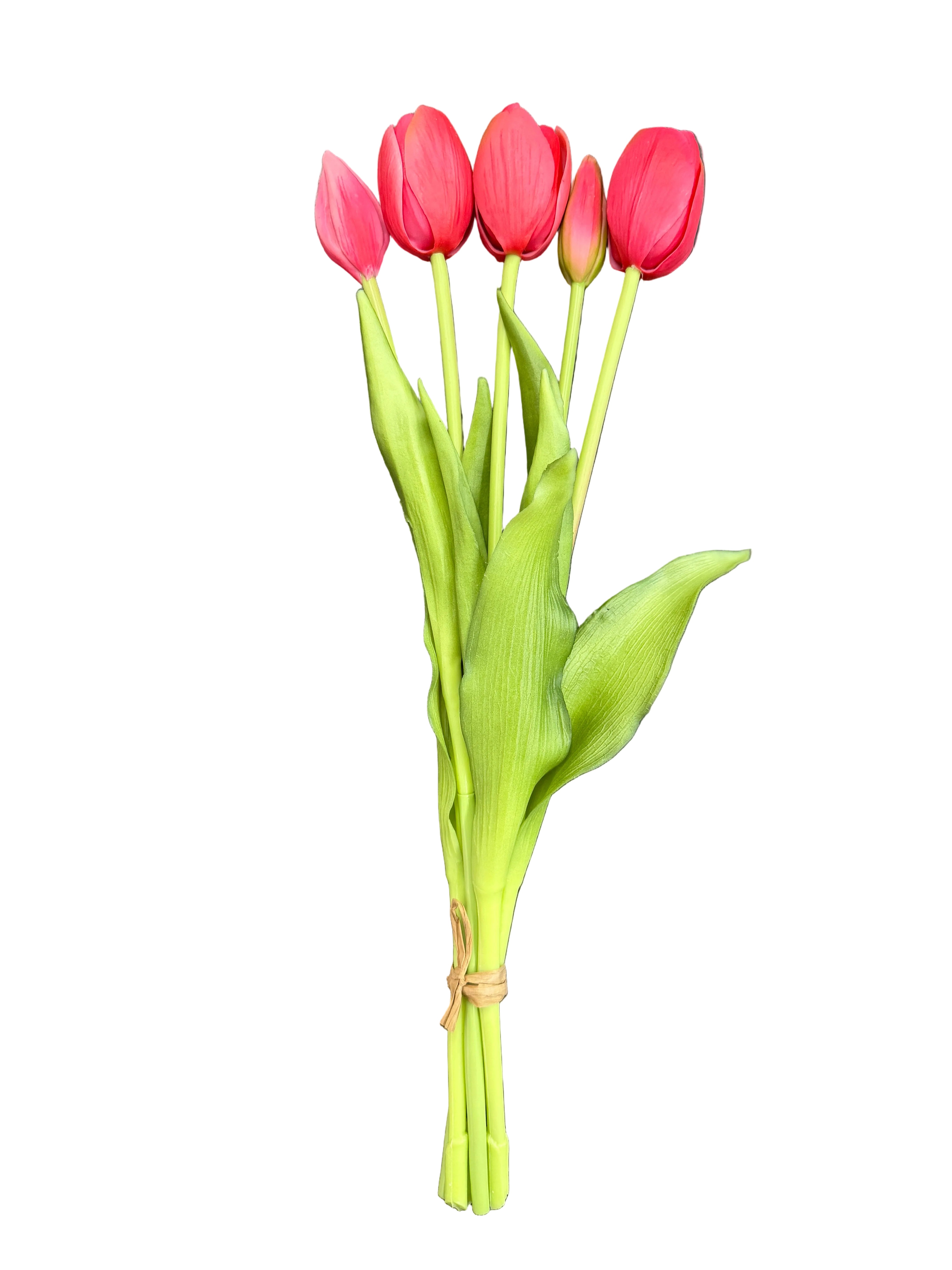 Tulipani fucsia