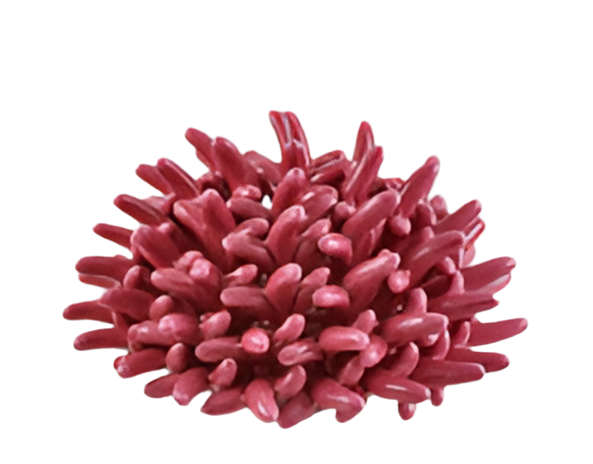 Centrotavola Attinia Fucsia