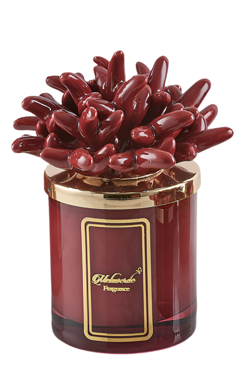 Candela Attinia Bordeaux