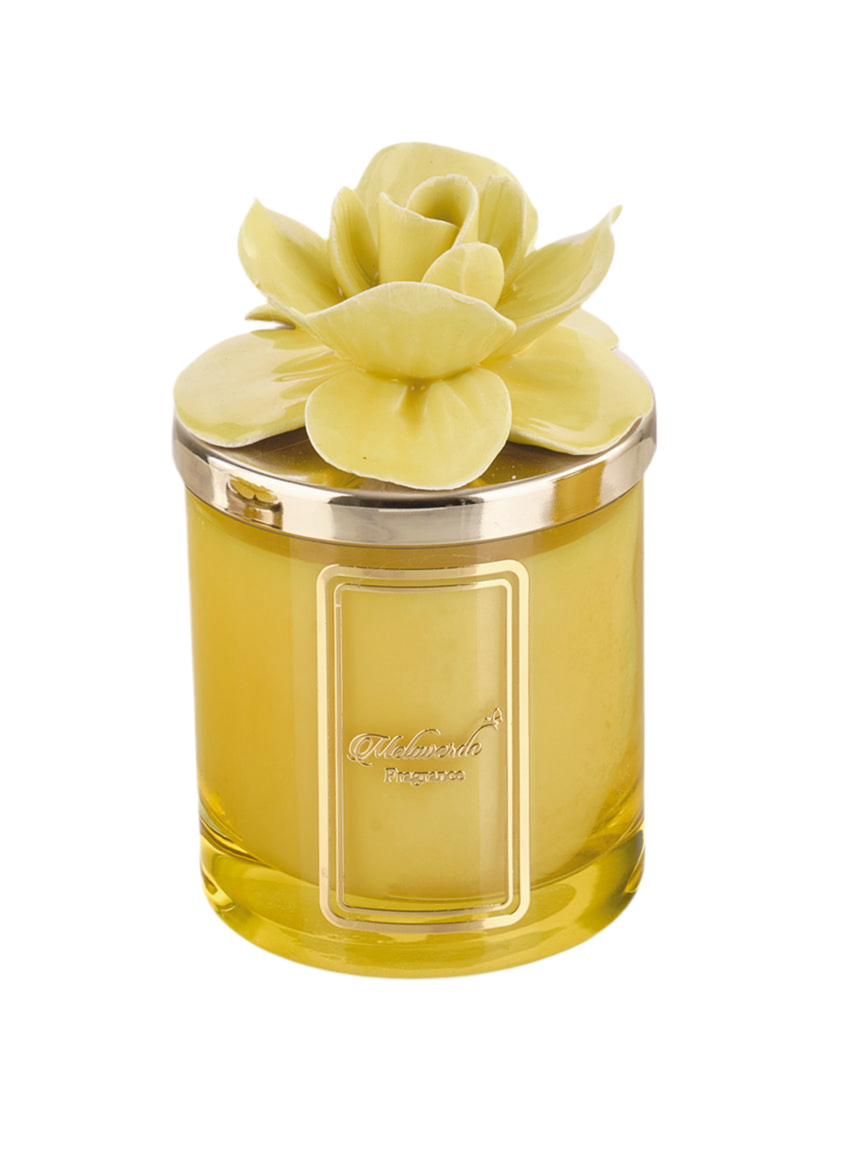 Candela Fiore Giallo