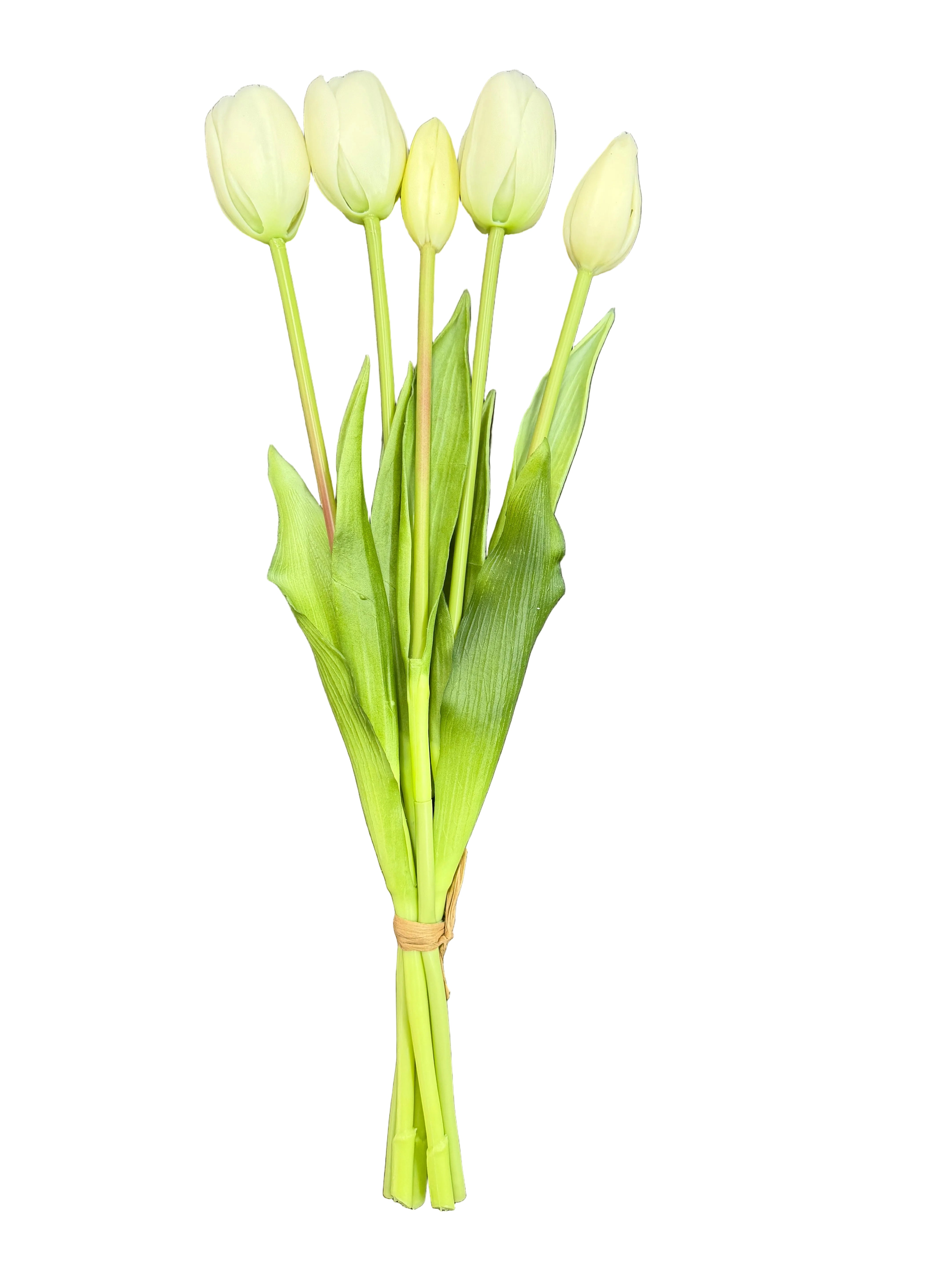 Tulipani bianchi