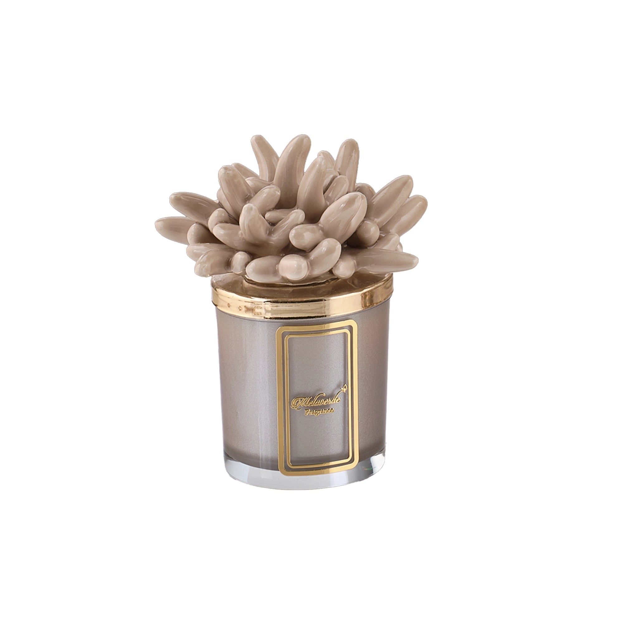 Candela Attinia Tortora