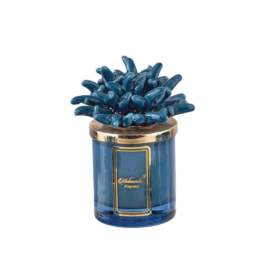 Candela Attinia Blu