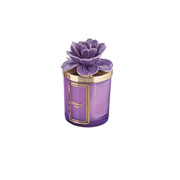 Candele Peonia Prugna