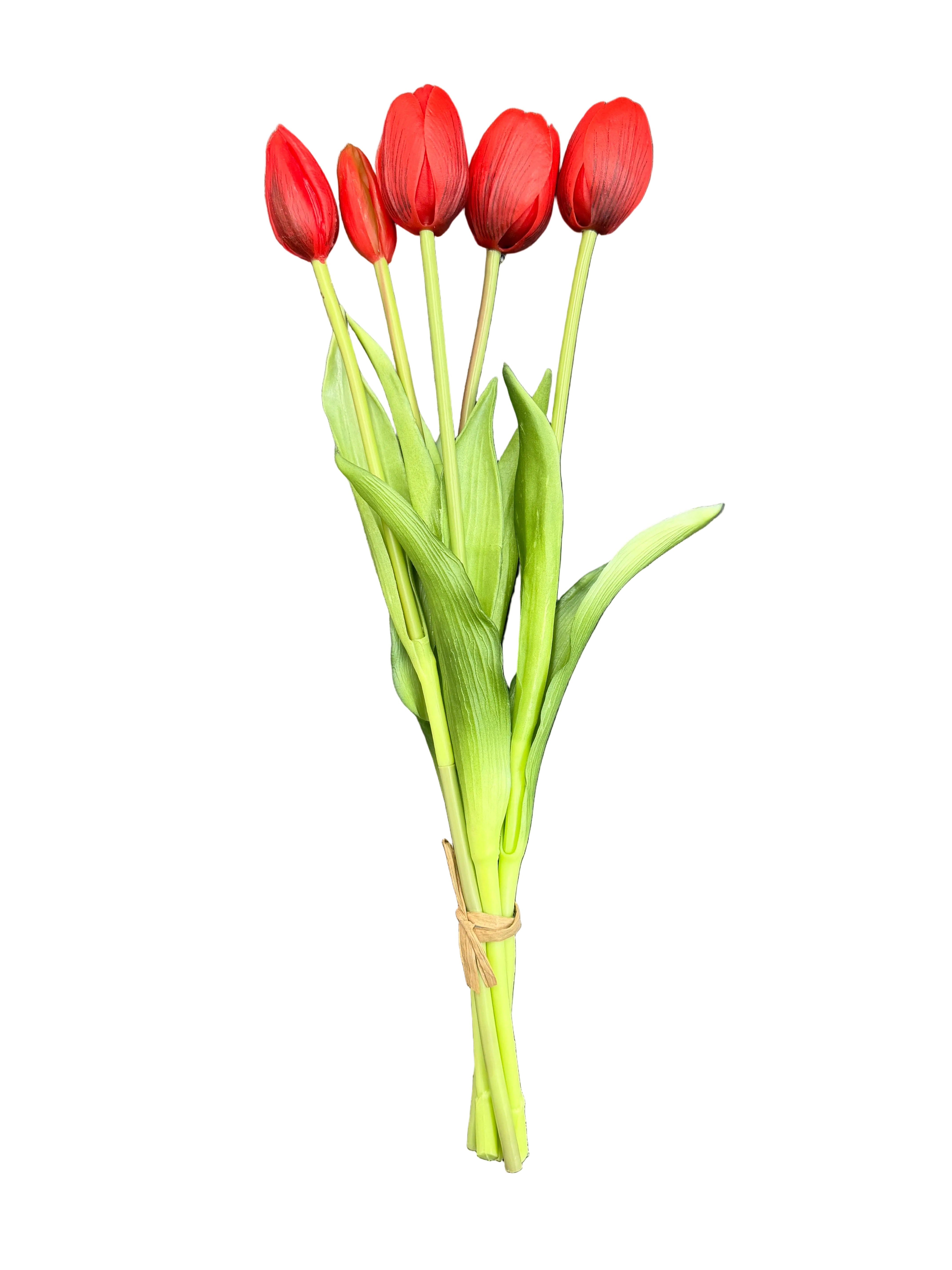 Tulipani Rossi