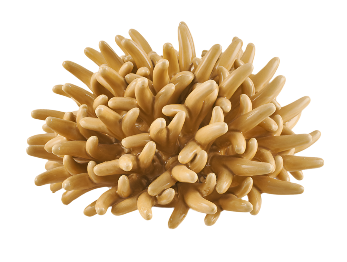 Centrotavola Attinia Miele
