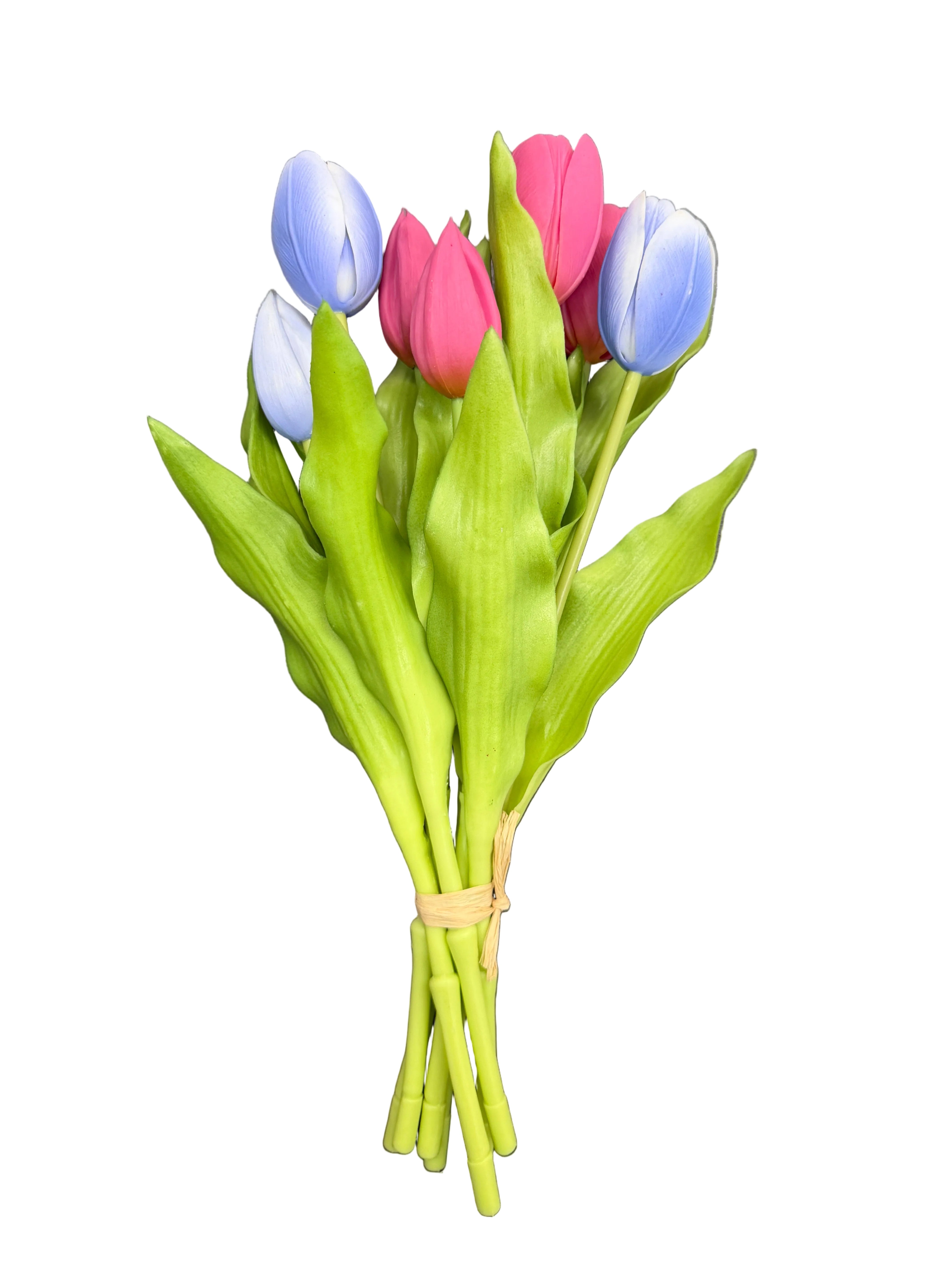 Tulipani bicolore fucsia e lavanda