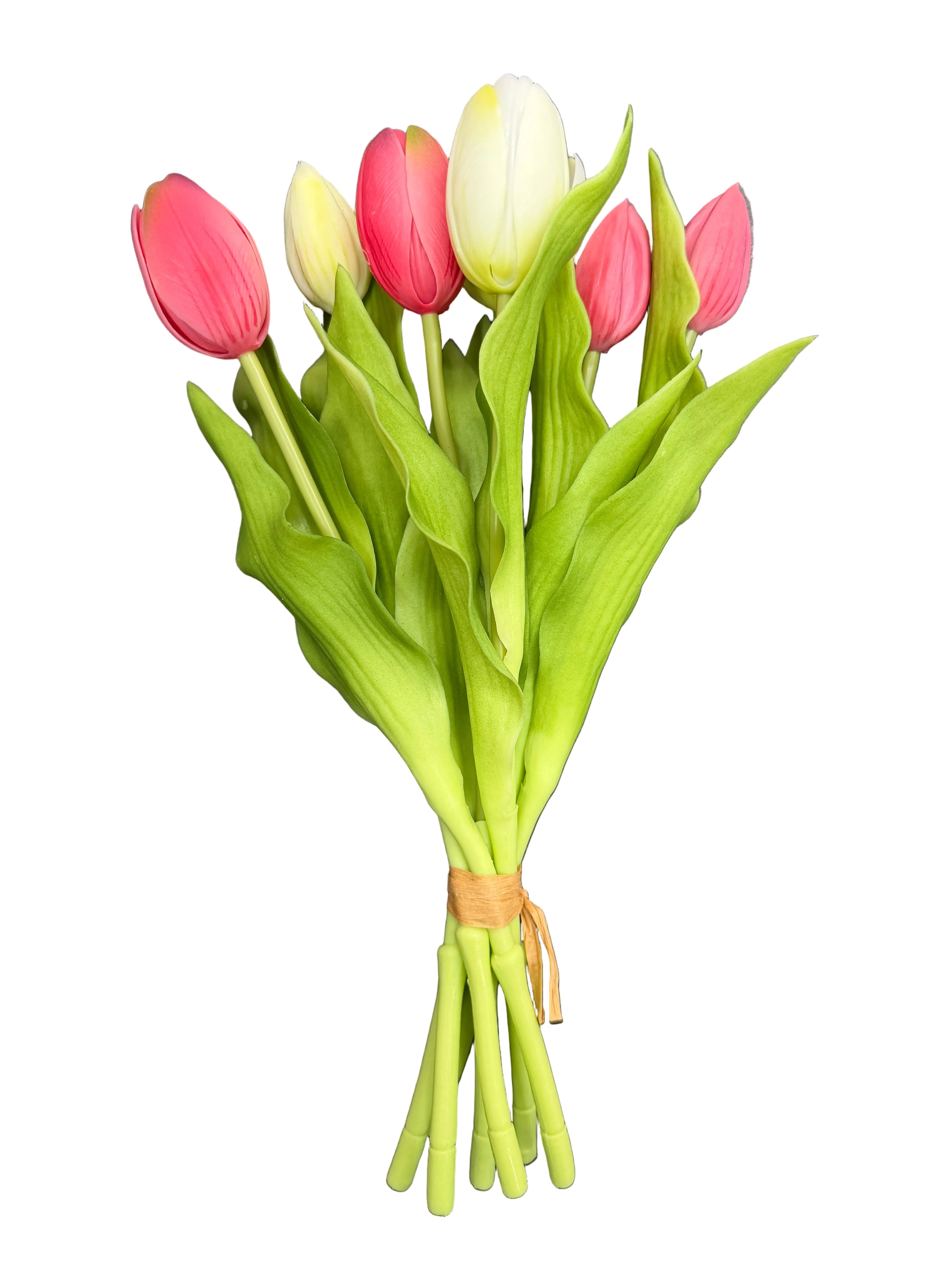 Tulipani bicolore rosa e bianco