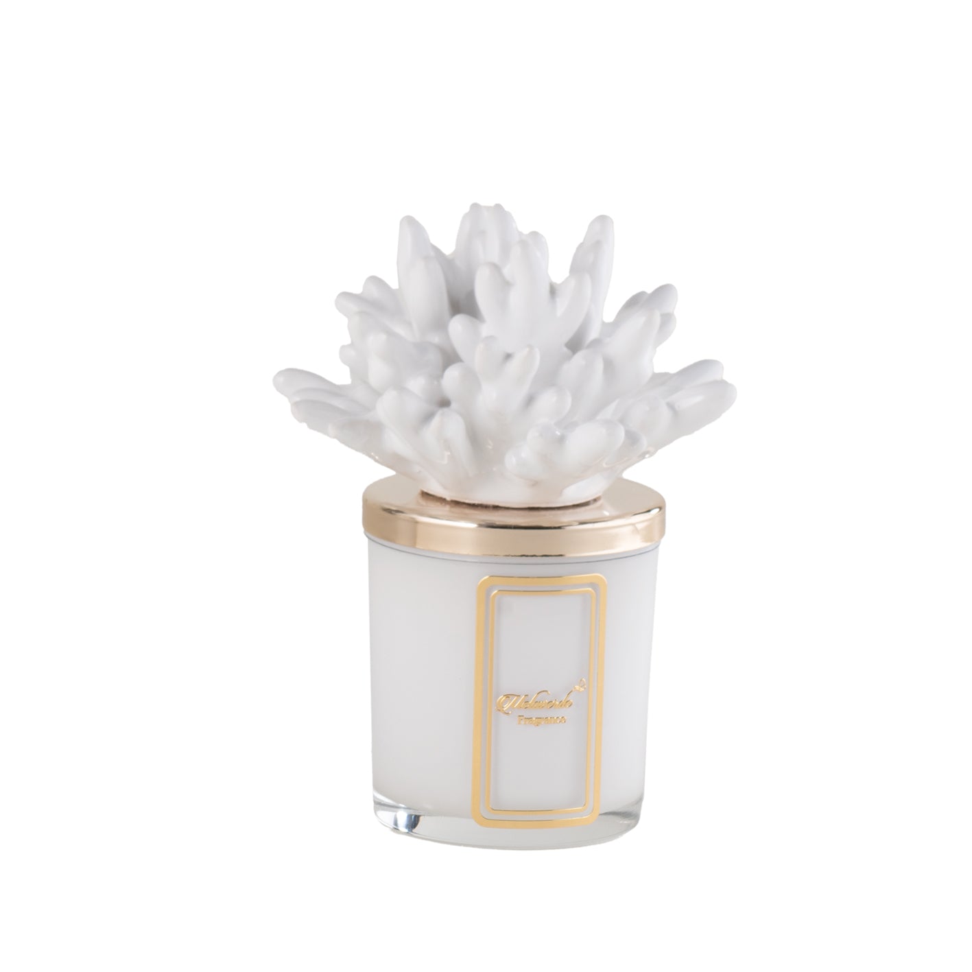 Candela Corallo Bianco