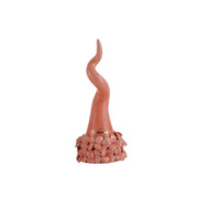 Corno Ortensie Pesca