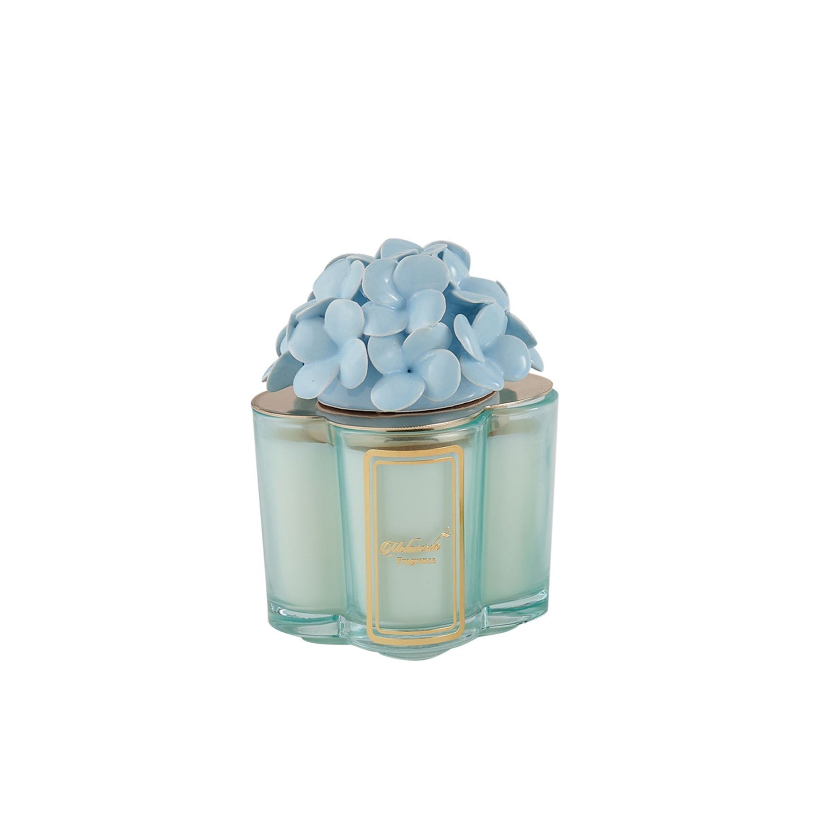 Candela Ortensia Azzurra