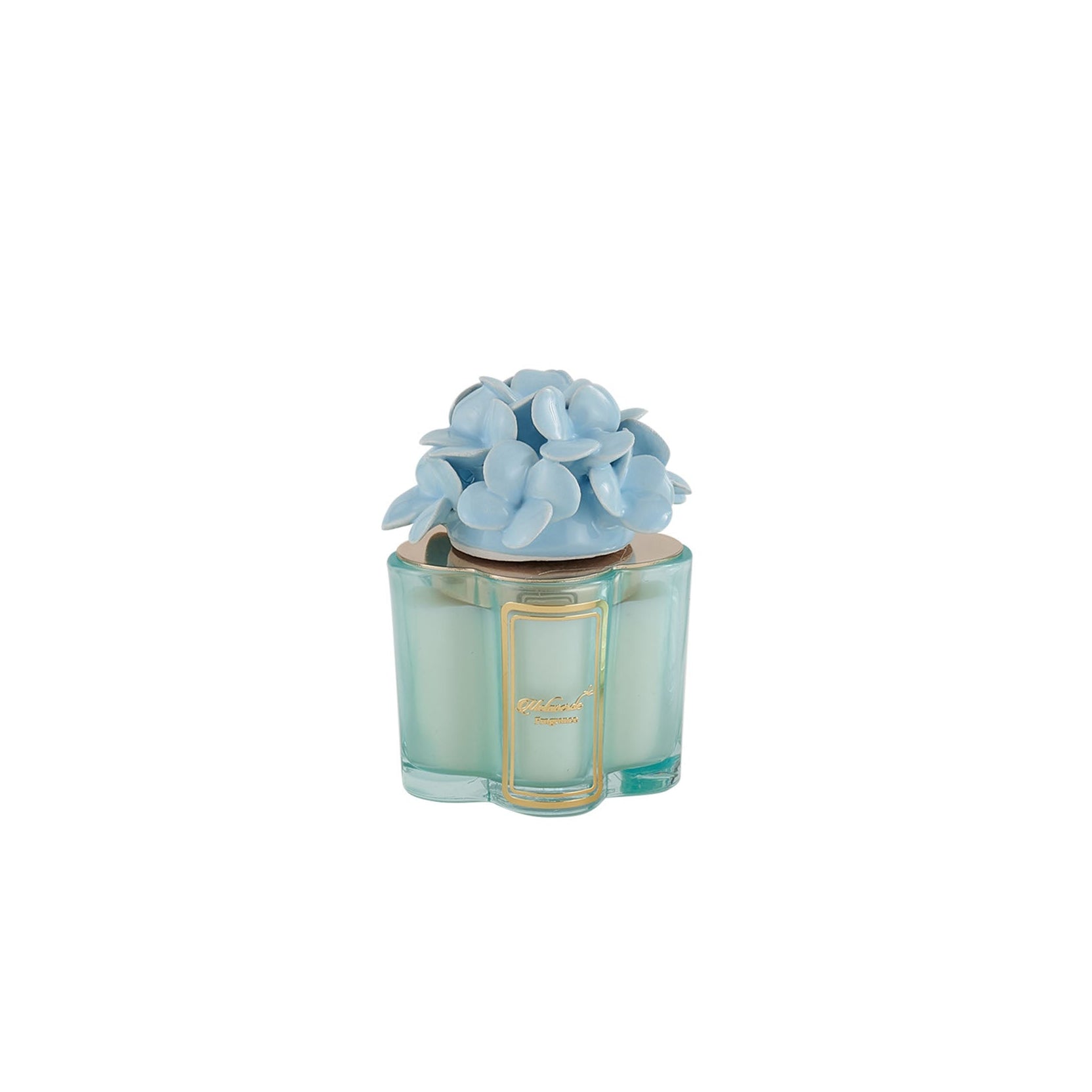 Candela Ortensia Azzurra