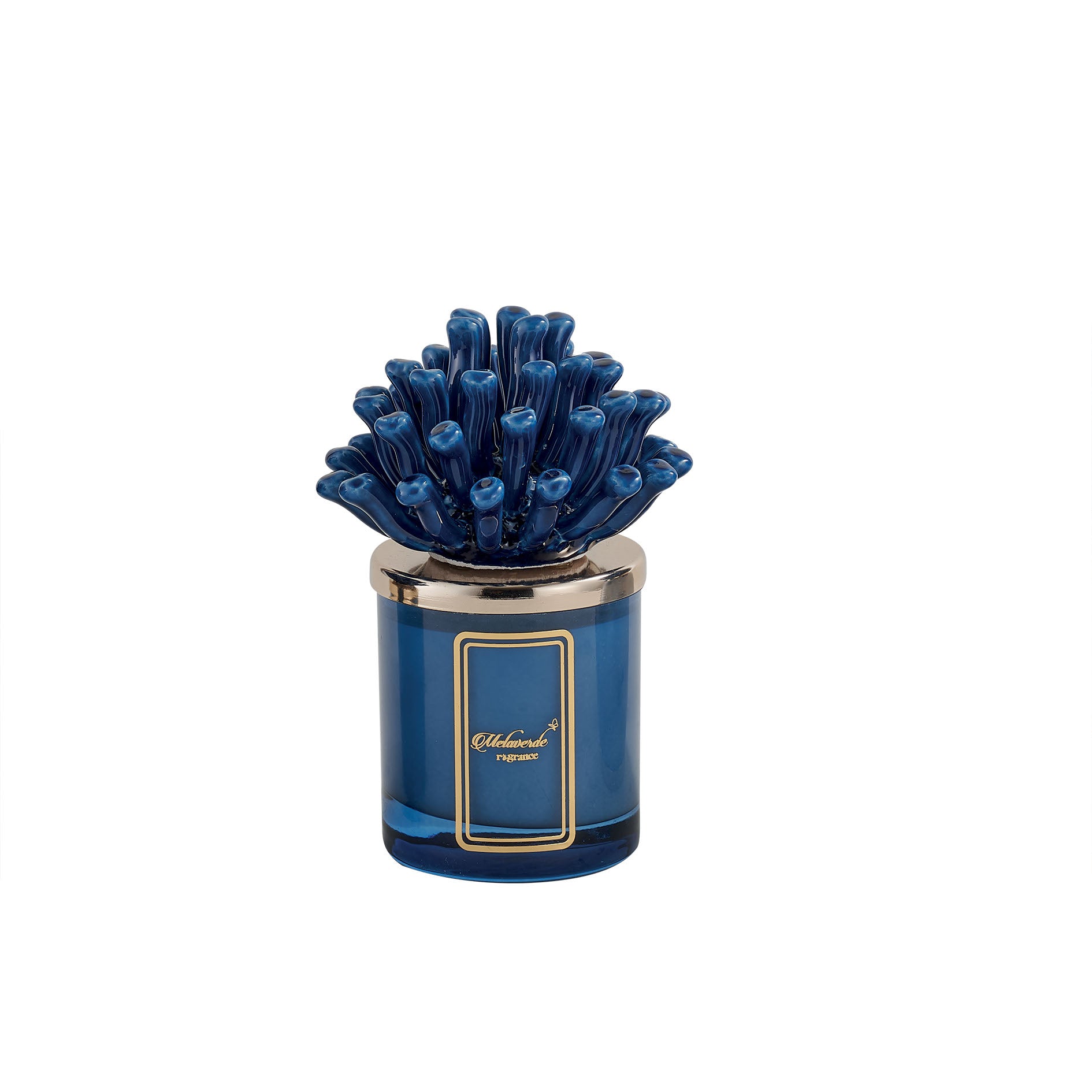 Candela Alga Corallina Blu