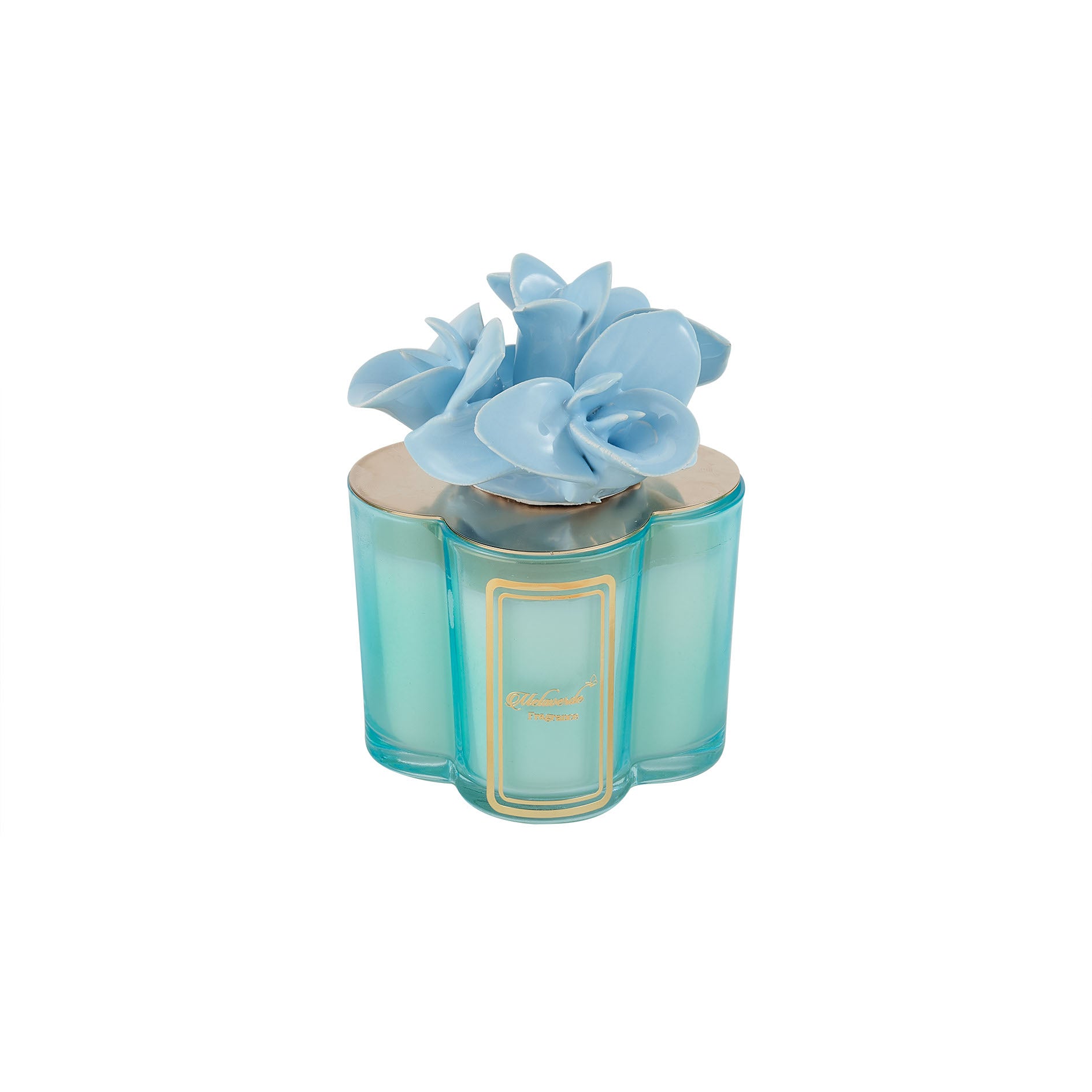 Candela Orchidea Azzurra