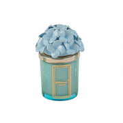 Candela Ortensia Azzurra