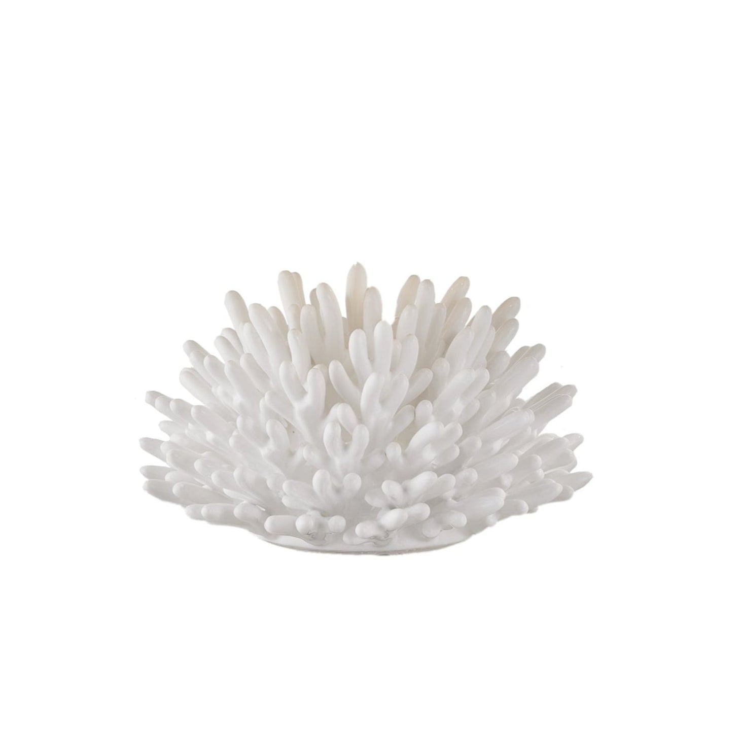 Corallo Bianco
