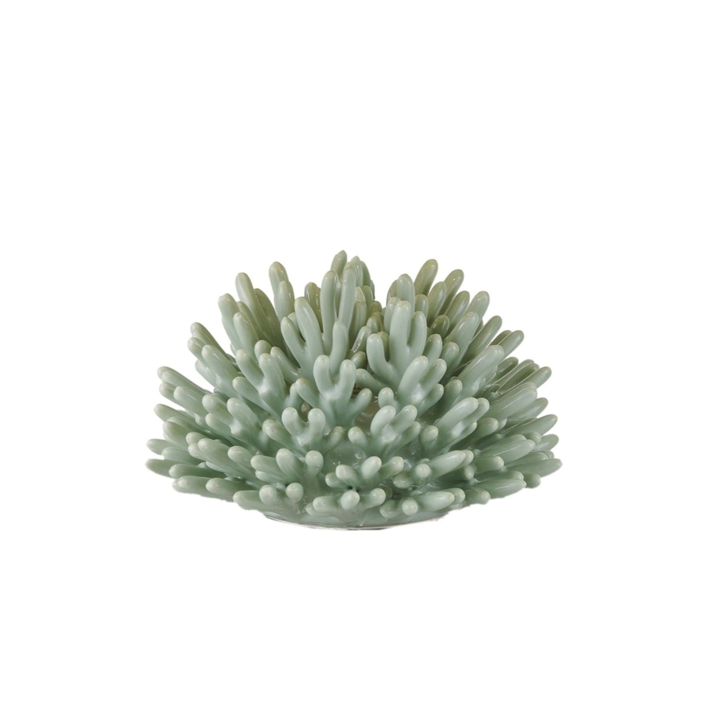 Corallo Salvia