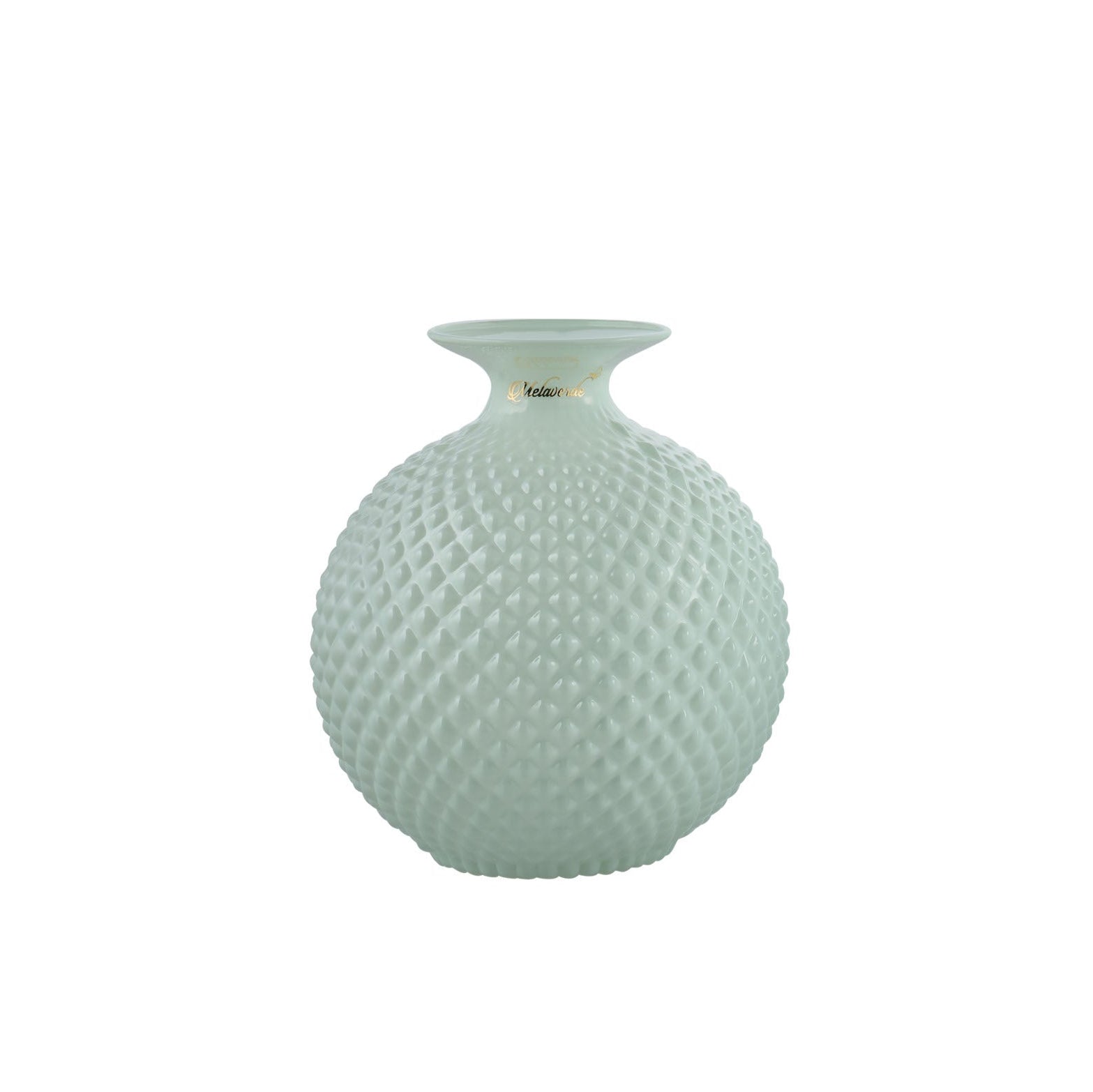 Vaso Javier Salvia Lucido