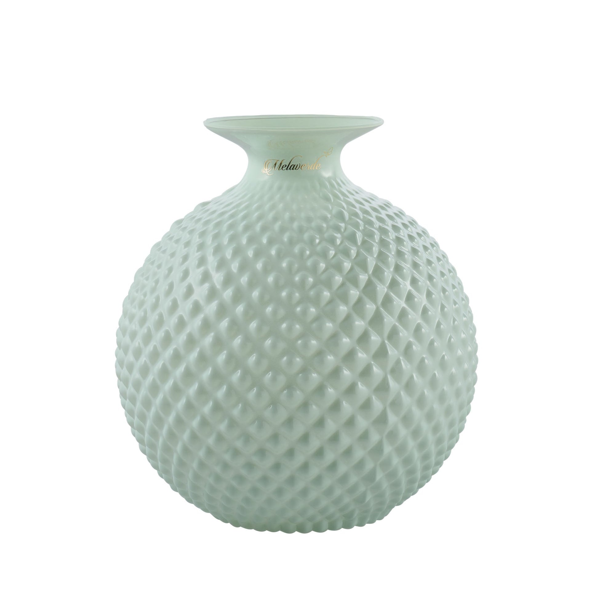 Vaso Javier Salvia Lucido