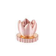 Tulip Led Cipria