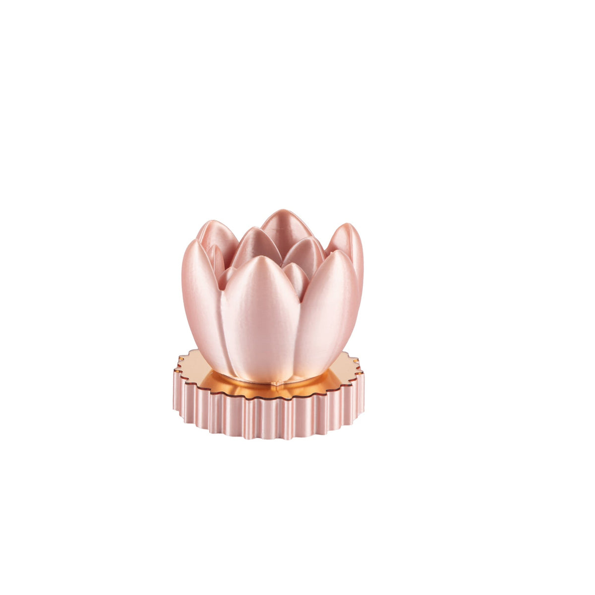 Tulip Led Cipria
