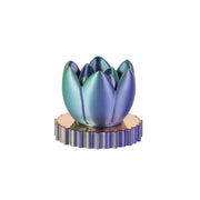 Tulip Led Boreale