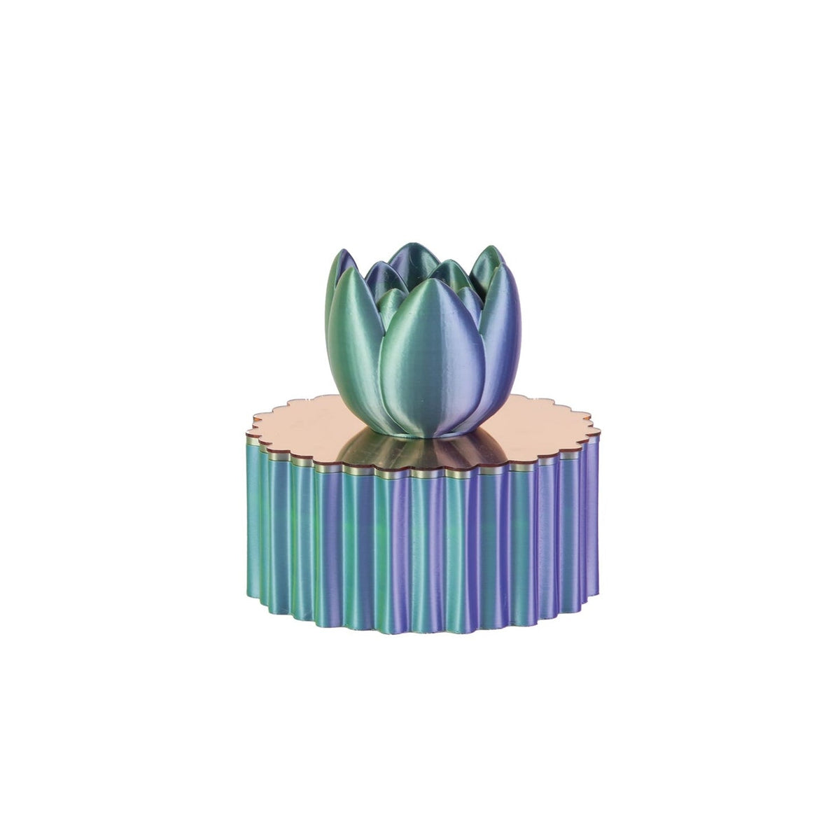 Portagioie Tulip Boreale