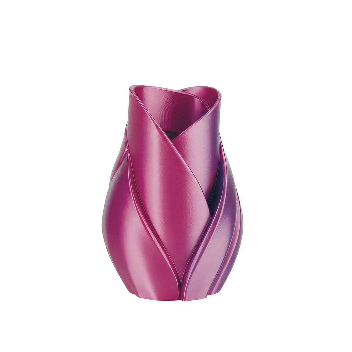 Vaso Tulip Viola Bicolor