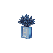 Profumatore Corallo Blu