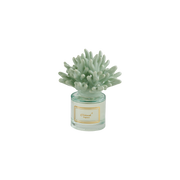Profumatore Corallo Salvia