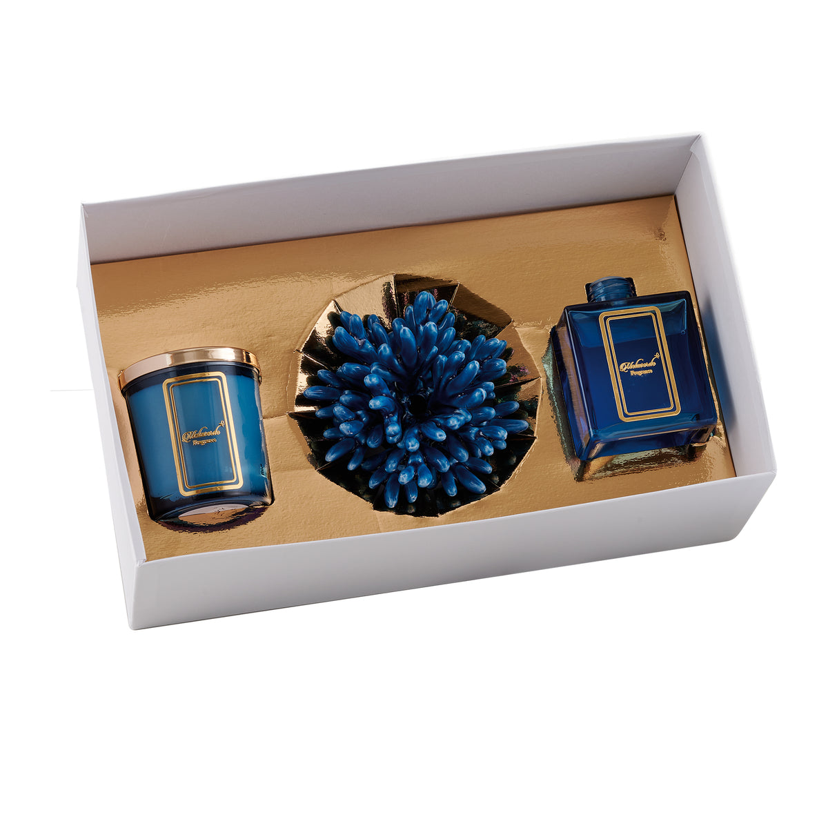 Box Corallo Blu